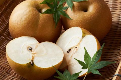 【先行予約】樹上完熟 豊水梨 5kg（10～16個）（2026年8月下旬～発送）　BF00010