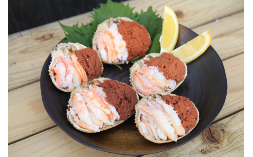 セイコガニ甲羅盛Sサイズ　5個セット　SK00125