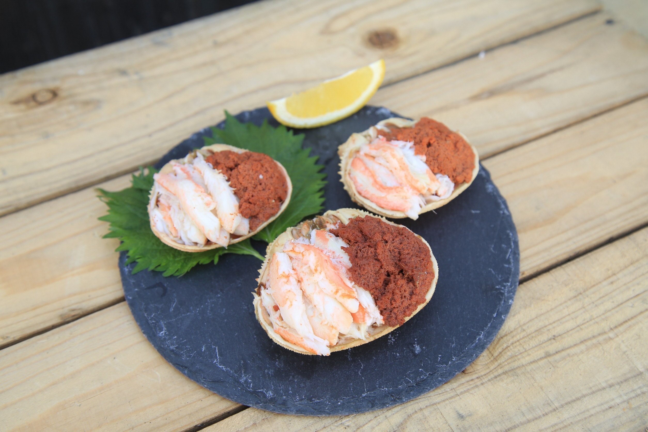 セイコガニ甲羅盛Sサイズ　3個セット　SK00126