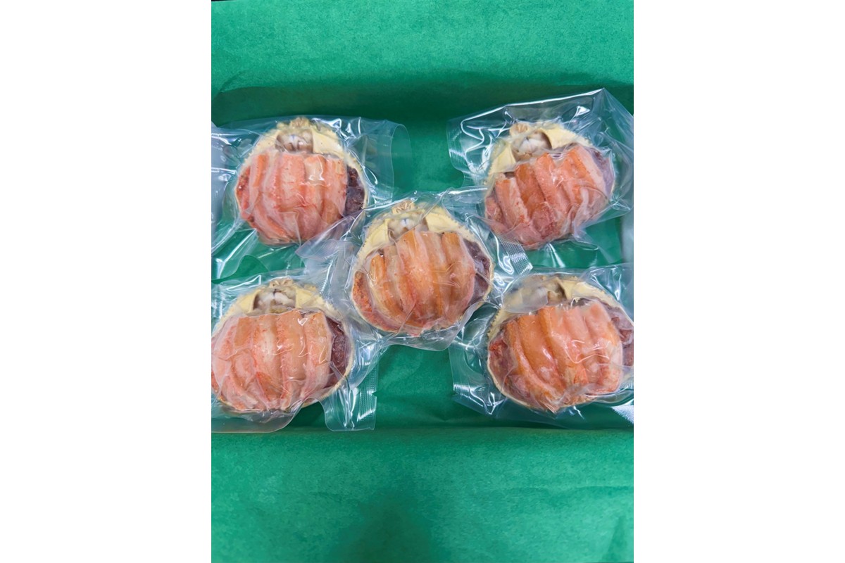 セイコガニ甲羅盛Mサイズ　5個セット　SK00181