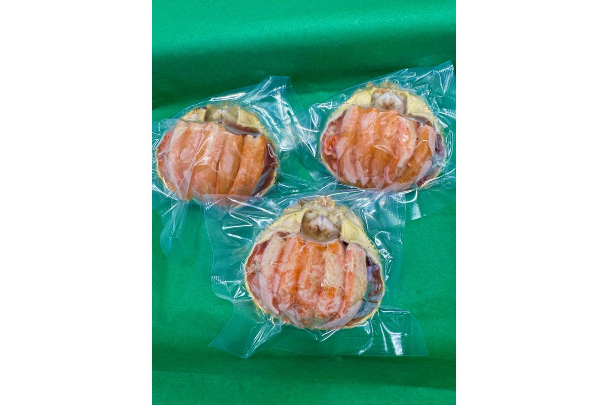 セイコガニ甲羅盛Mサイズ　3個セット　SK00180