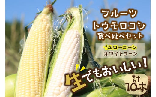 【先行予約】 生食も！高糖度！もぎたて！ フルーツトウモロコシ（ホワイトコーン＆イエローコーン計10本）食べ比べ京丹後セット（2026年6月下旬～発送）　DE00136