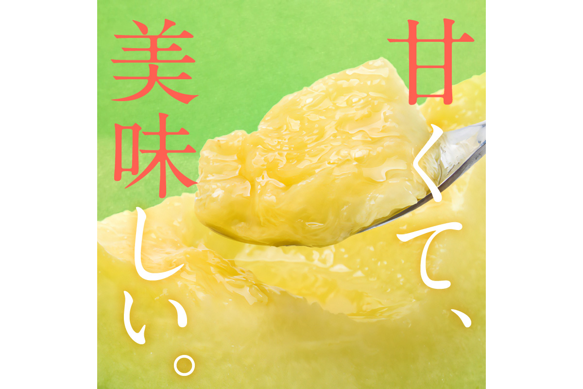【先行予約／数量限定100】ゆめろんファームの青肉メロン（2026年6月上旬～発送）　DE00153