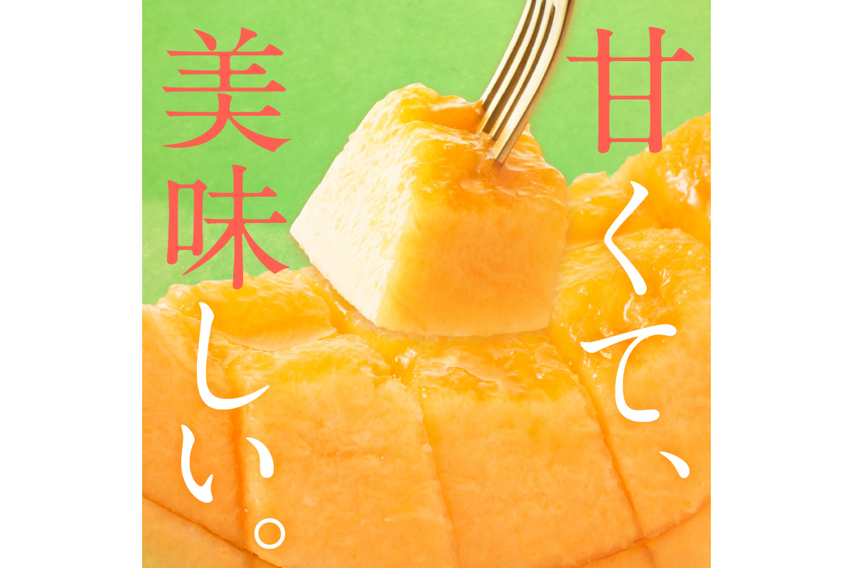 【先行予約／数量限定100】ゆめろんファームの赤肉メロン（2026年6月上旬～発送）　DE00154