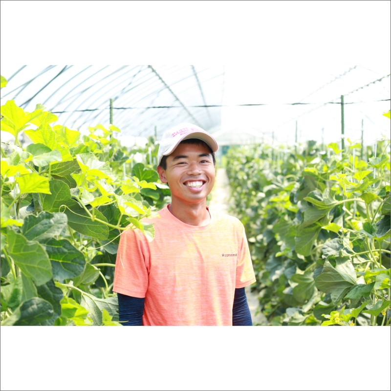 【先行予約／数量限定100】ゆめろんファームの赤肉メロン（訳あり品）（2026年6月上旬～発送）　DE00155