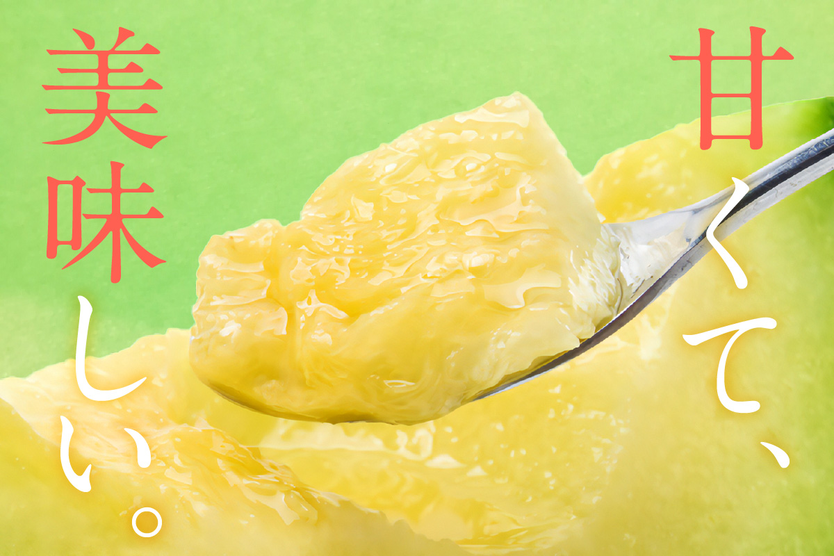 【先行予約／数量限定100】ゆめろんファームの青肉メロン（訳あり品）（2026年6月上旬～発送）　DE00156