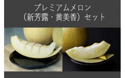【先行予約／数量限定30】プレミアムメロン（新芳露・黄美香）セット（2026年7月下旬～発送）　DE00157