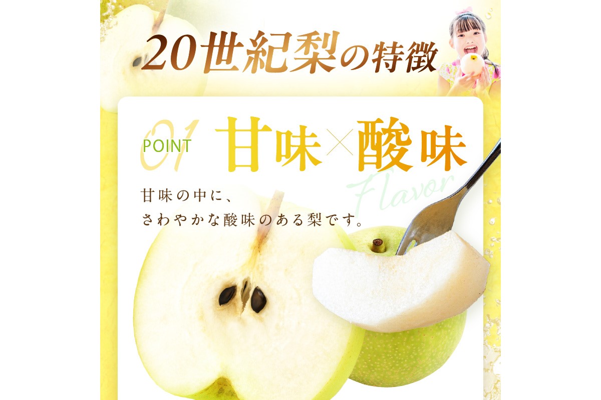 【先行予約／数量限定700】20世紀梨（訳あり） 5kg（10～16玉）（2026年8月下旬～発送）　DE00158