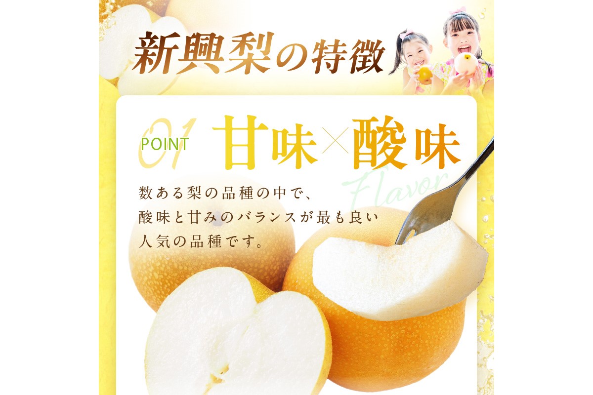 【先行予約／数量限定700】新興梨（訳あり） 5kg （7～12玉）（2026年9月下旬～発送）　DE00159