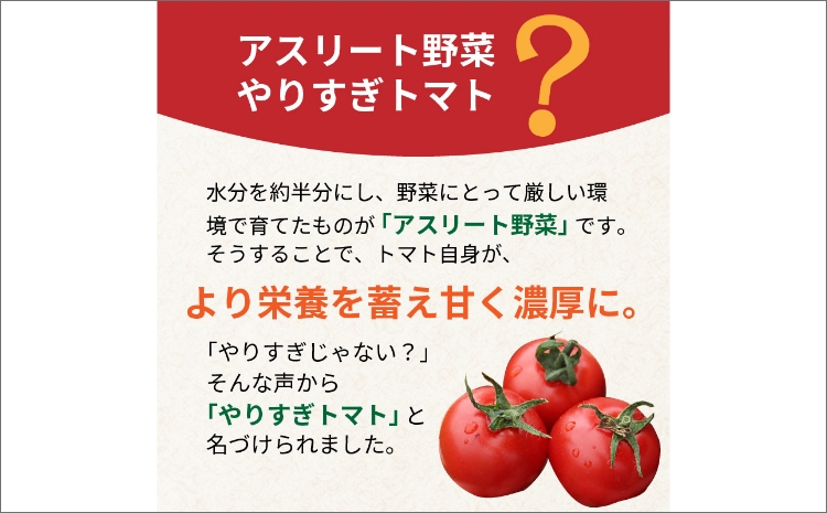 【先行予約】やりすぎトマト（4パック計約1kg）（冬季）（2026年12月上旬以降発送）　DE00172