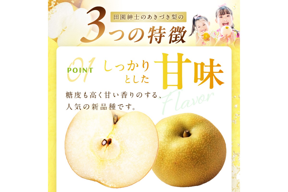 【先行予約／数量限定300】京丹後産 あきづき梨 5kg（8～12玉）（2026年9月中旬～発送）　DE00161