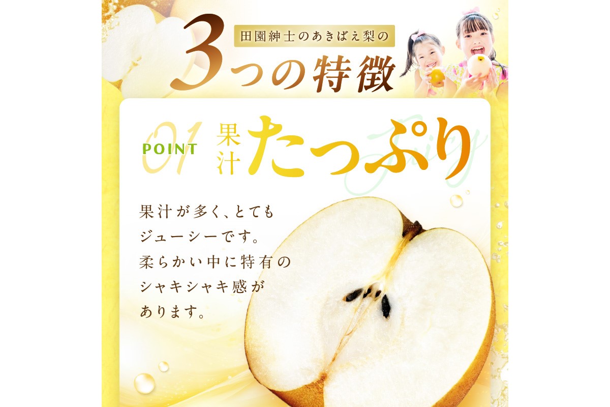 【先行予約／数量限定200】京丹後産 あきばえ梨 5kg（14～18玉）（2026年8月中旬～発送）　DE00162
