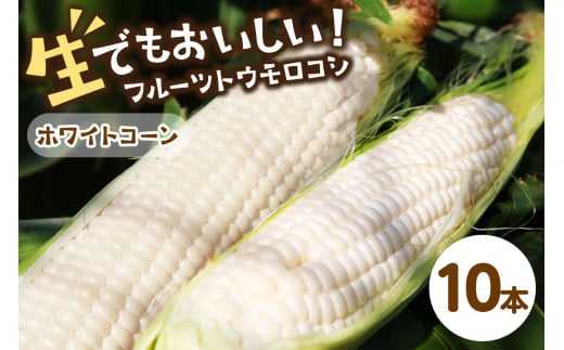 【先行予約】 生食も！高糖度！もぎたて！ フルーツトウモロコシ「ホワイトコーン」（2026年6月下旬～発送） DE00134