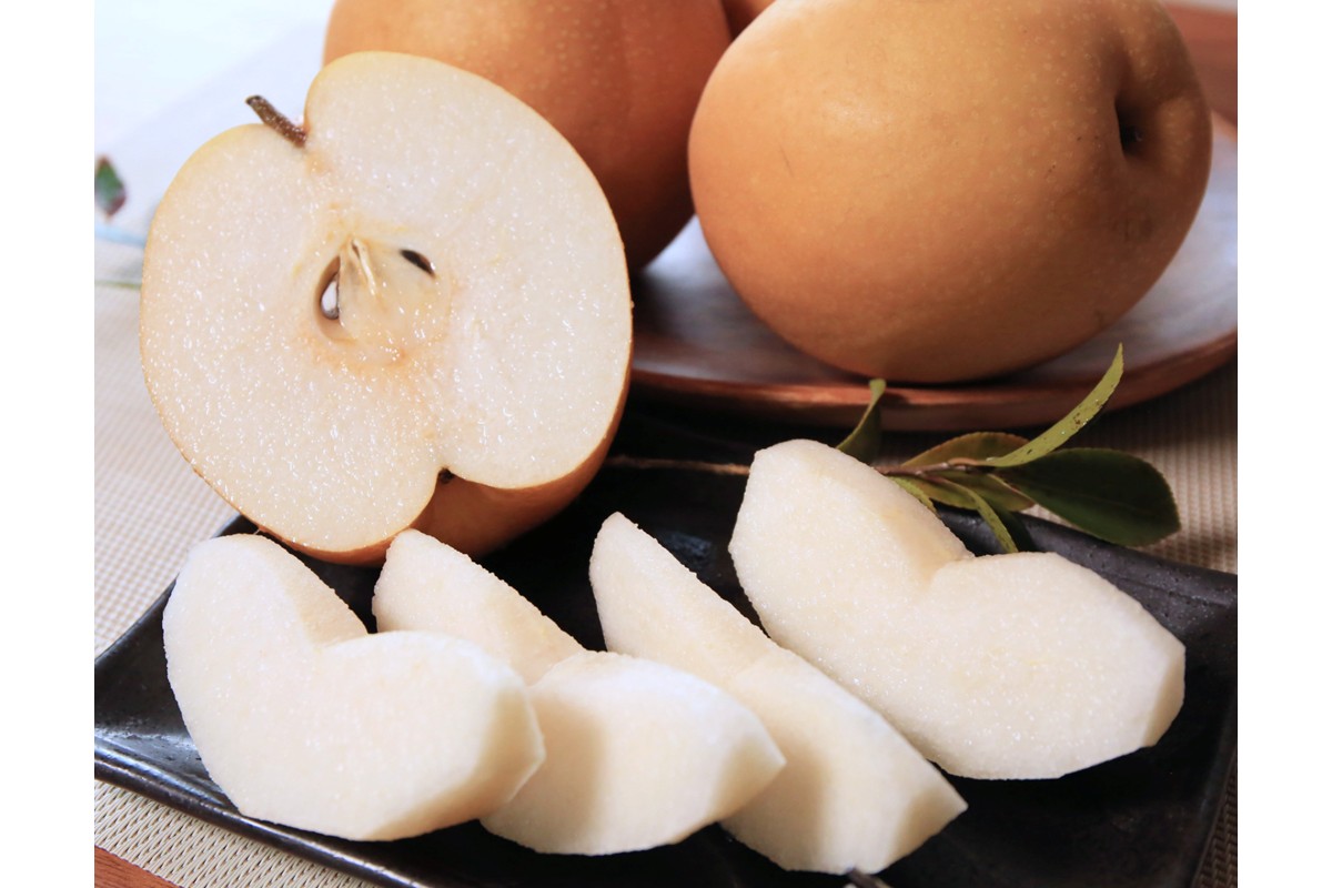 【先行予約／数量限定200】農家直送 秋の王様 「王秋」5kg（概ね7玉～12玉）（2026年11月上旬～発送）　DE00169