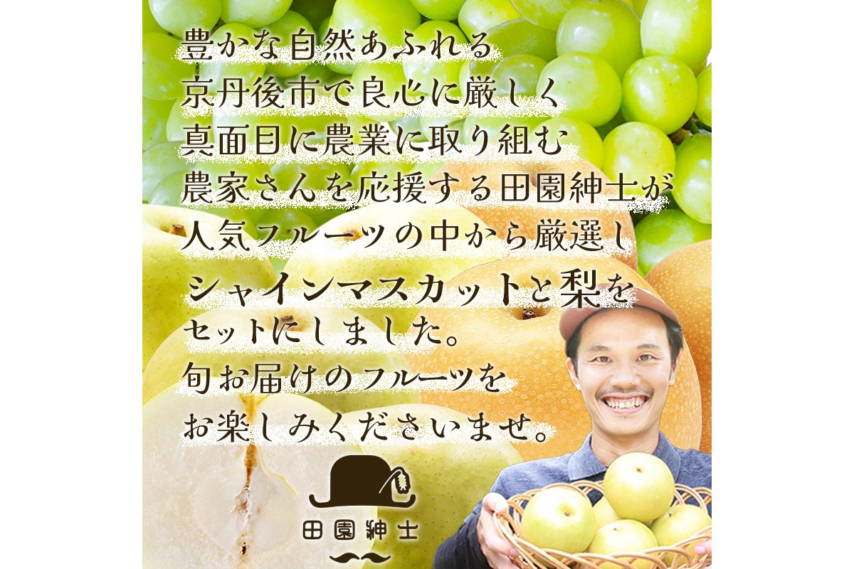 田園紳士厳選 シャインマスカット・梨セット　DE00142