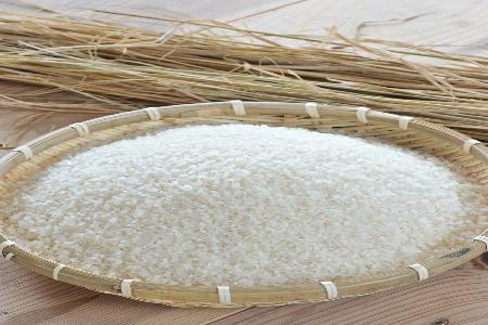 有機JAS認証米「おおきに大地米」10kg　DE00147