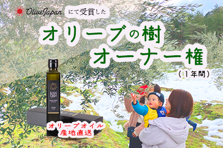 【京都府/オリーブオーナー】【スタンダード】令和5年度オリーブ樹のオーナーになれる　DZ00014