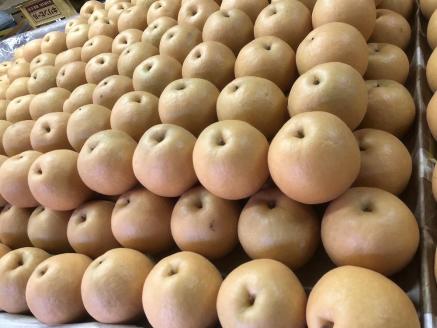 【先行予約／数量限定100】【訳あり】新興梨 優品 5kg（8～16玉入り）（2026年10月上旬～発送）　SF00043