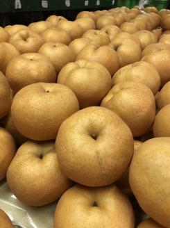 【先行予約／数量限定20】愛宕梨 秀品 5kg（5～12玉入り）（2025年11月下旬～発送）　SF00024