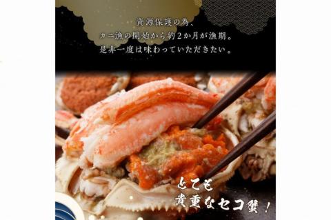 【先行予約】☆蟹の宝石箱☆ お手軽！絶品！ セイコガニ甲羅盛 2杯　YK00324