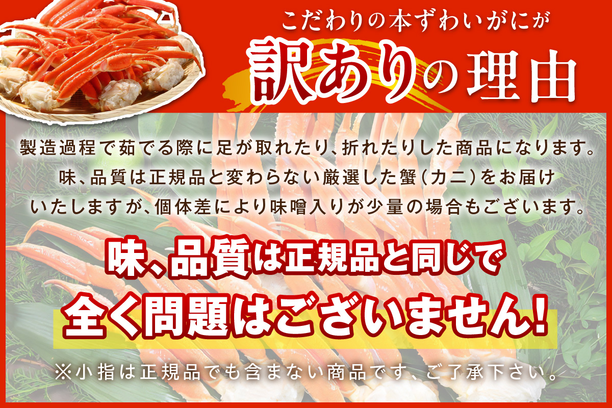 【訳あり！カニ酢付き】急速冷凍 ボイル済み 本ズワイガニ 2Lサイズ10肩　YK00415