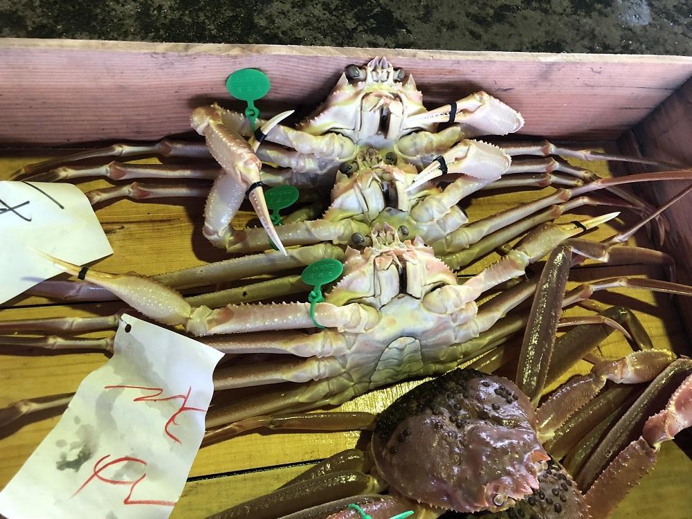 【幻のズワイ蟹】　　京丹後産　茹で間人蟹（中）　鮮度抜群、浜茹でにてお届け！！ 600g級×2杯　YK00091