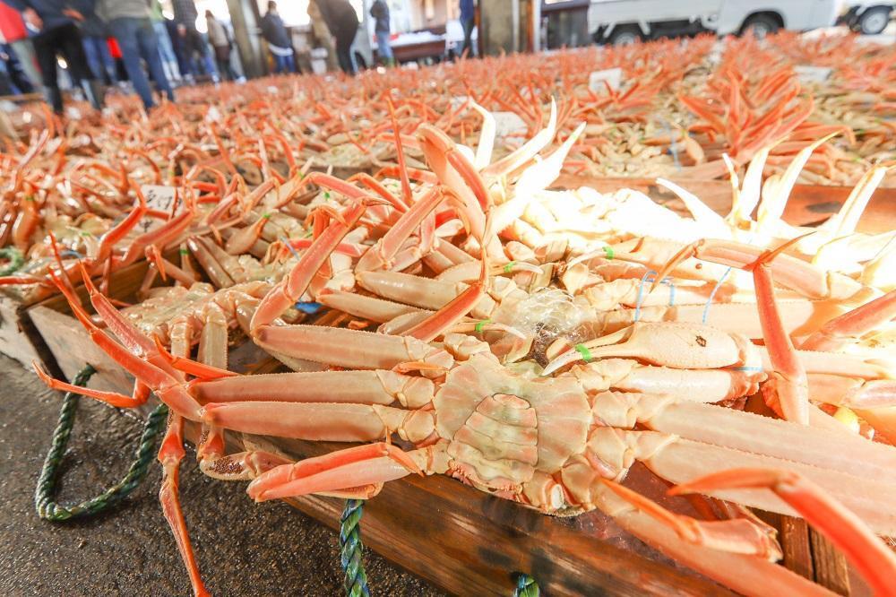 【厳選！！タグ付きブランド】　茹で松葉かに（中）　鮮度抜群、浜茹でにてお届け！！ 600g級×2杯　YK00437