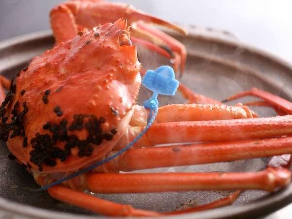 【厳選！！タグ付きブランド】　茹で松葉かに（中）　鮮度抜群、浜茹でにてお届け！！ 600g級×3杯　YK00438