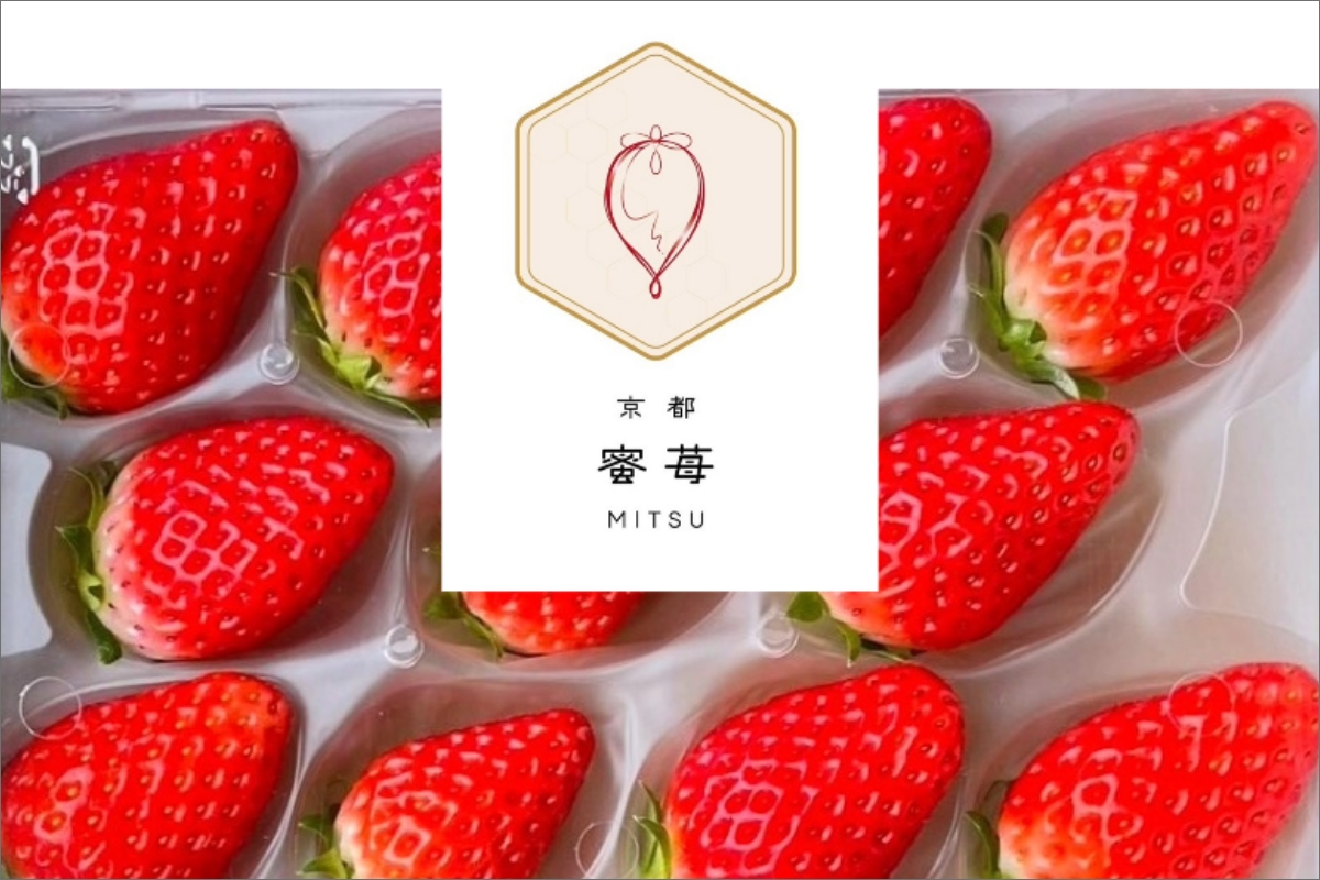 【先行予約】2026年産 京都 蜜いちご（あきひめ）（大サイズ（9粒または11粒）×2パック）約450g（2026年1月上旬～発送）　FM00011