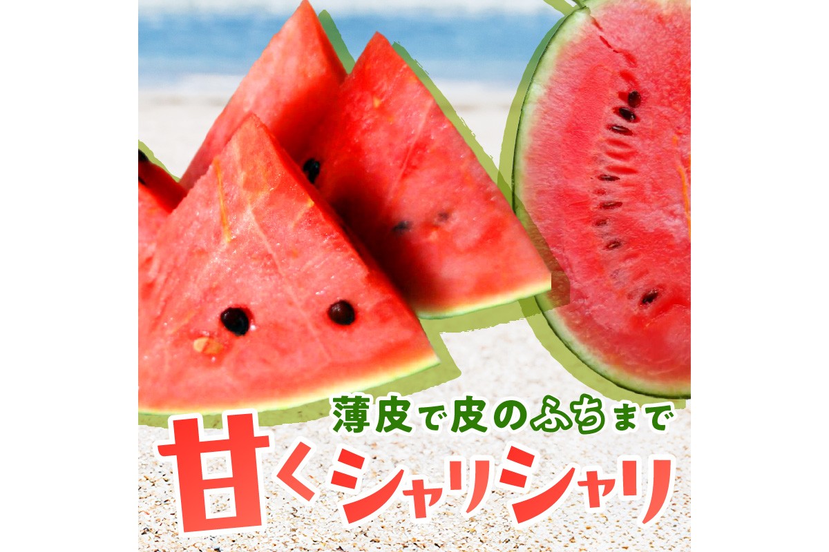 【先行予約／数量限定200】にしまるスイカ 秀品 1玉入り（露地栽培）（2026年7月中旬から発送）　FR00012