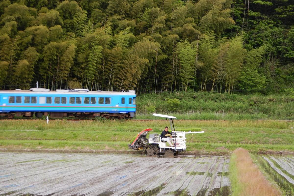 京都・網野郷産 特別栽培米コシヒカリ 玄米10kg　GG00002