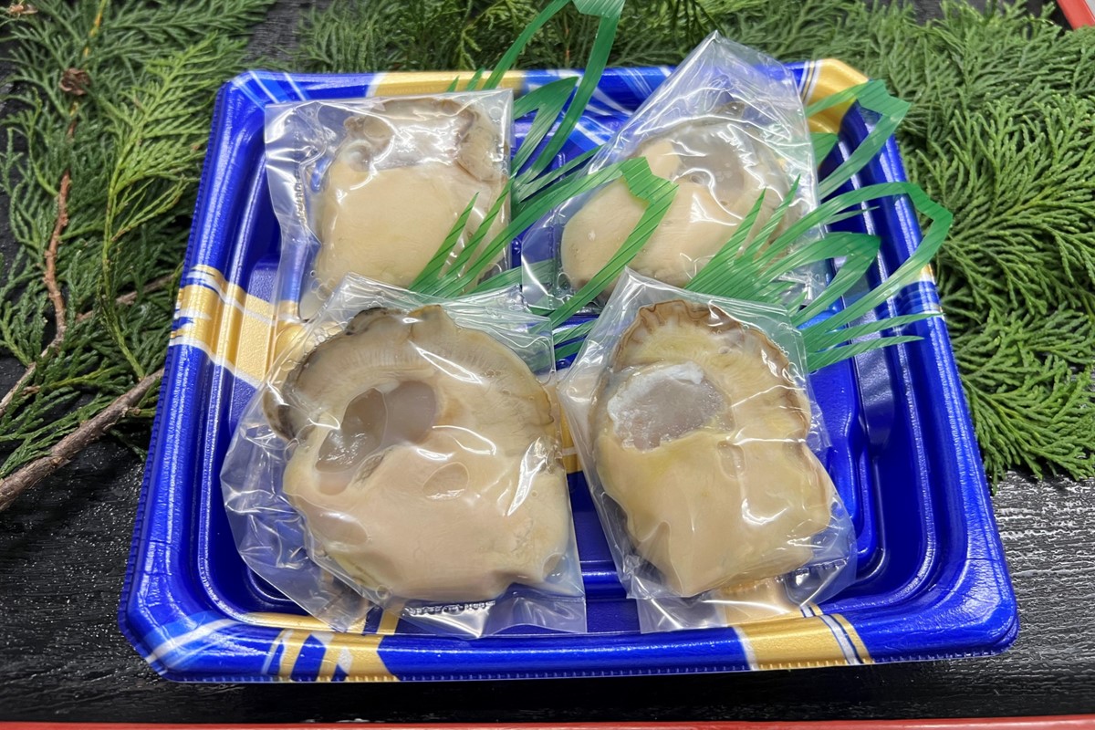【先行予約】京都・京丹後産　鮮度抜群！濃厚肉厚岩牡蠣（生食用）4個入り（個別包装・冷凍）　AH00001