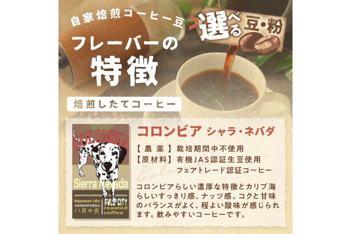 【栽培期間中農薬不使用】自家焙煎コーヒー豆 コロンビア シエラネバダ 500g（250g×2） 約50杯分 小分け　豆・粉 選べる 飲料 珈琲 こーひー コーヒー coffee　HA00026