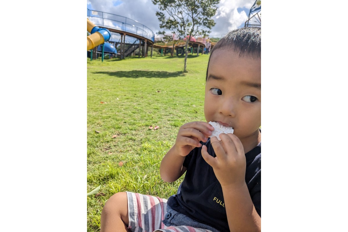 ハンズファーム グルテンフリーセット (細かい米粉500g1袋×黒糖玄米おこし60g1袋×玄米ぽん煎餅50g１袋)　ポン菓子 焼菓子 米菓 せんべい グルテンフリー 米粉 離乳食 ハンズファーム おやつ お米 玄米 駄菓子 子ども 黒糖 お菓子 送料無料 京都 国産 健康　HD00010