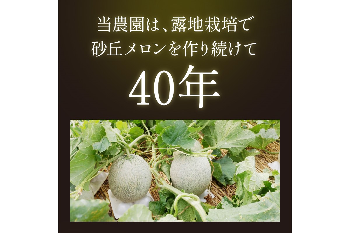 【先行予約／数量限定450】京丹後産 砂丘メロン 大玉2L以上 1玉（2026年7月下旬～発送）　HF00011