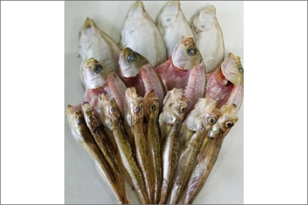 間人港 瞬冷ひもの Bセット（4人用）　HI00004