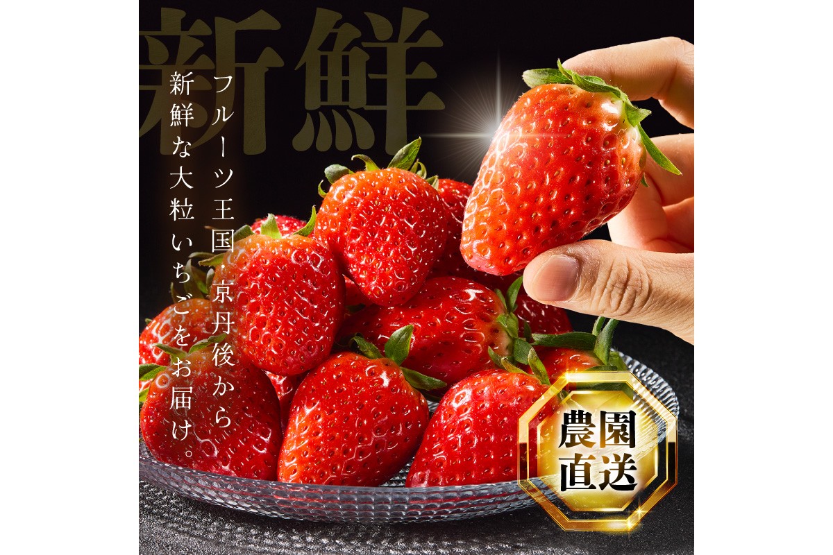 【京丹後産いちご章姫】農園直送便！新鮮大粒いちご 2パック ギフト箱入り／北畿水産 国産 大粒 あきひめ 甘い やわらかい ふるさと納税 いちご イチゴ 苺 先行予約 期間限定 くだもの 果物 先行申込 ストロベリー ギフト 送料無料　HK00159