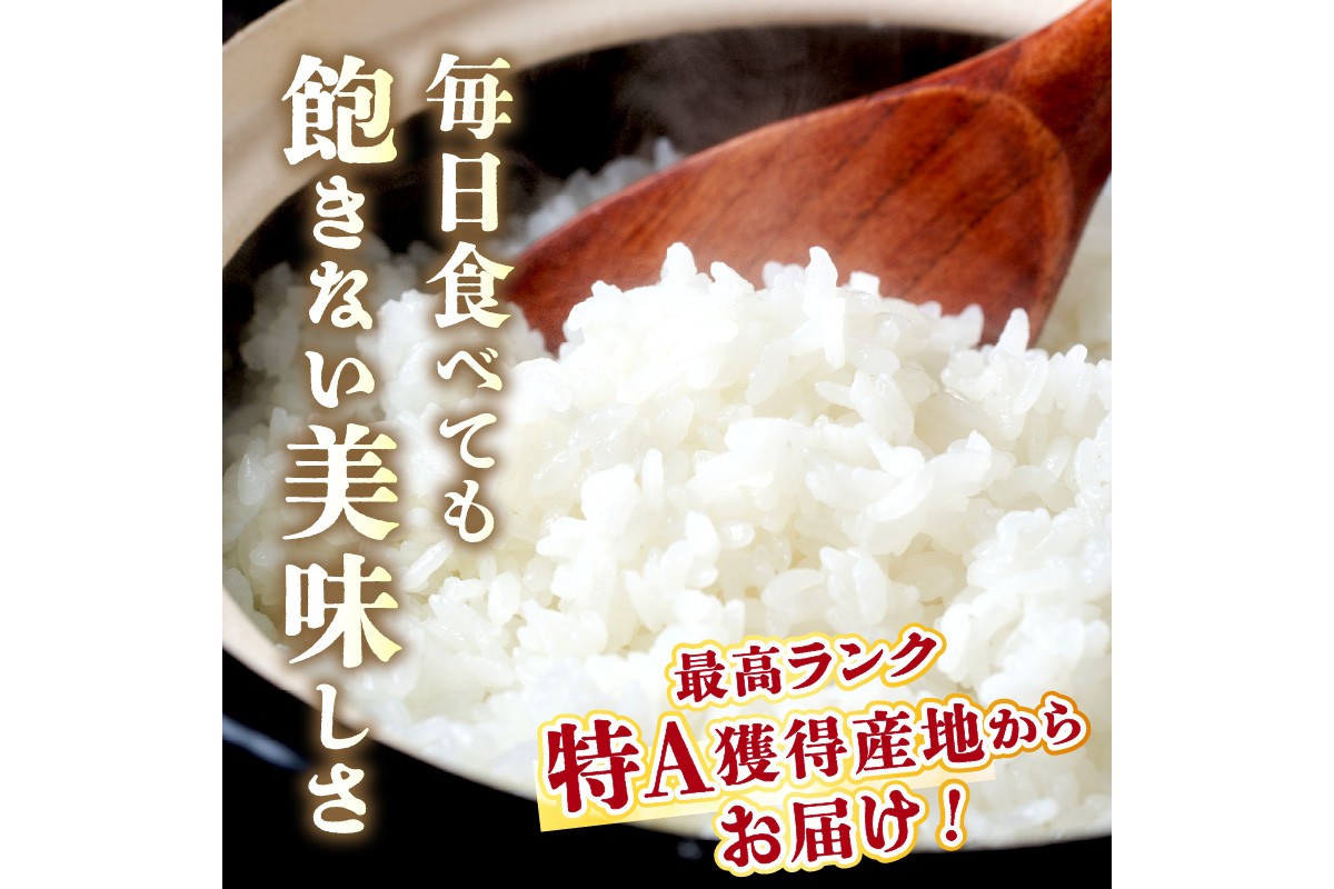 直売所直送「令和7年産　京丹後市産　コシヒカリ」　精米5kg こめ ふるさと納税 コシヒカリ 精米 米 精米 白米 2025 年 京都産　JA00082