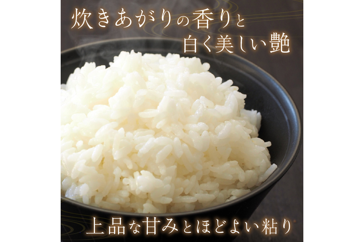直売所直送「令和5年産　京丹後市産　京式部　特別栽培米」　精米2kg×2袋　JA00056