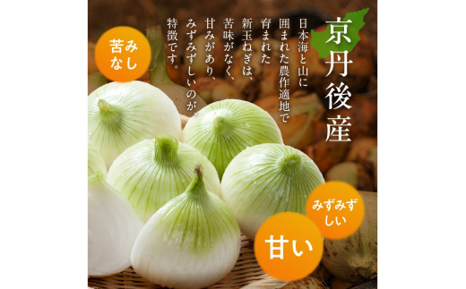 【訳あり】新たまねぎ　JA00063