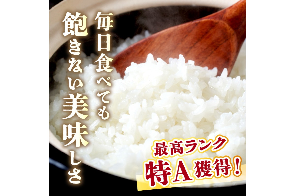 直売所直送「令和7年産　京丹後市産　コシヒカリ」　玄米5kg ふるさと納税 米 玄米 特A 検査1等米 国産 こめ ごはん 京都産 コシヒカリ 農家応援 生産者応援 送料無料　JA00081
