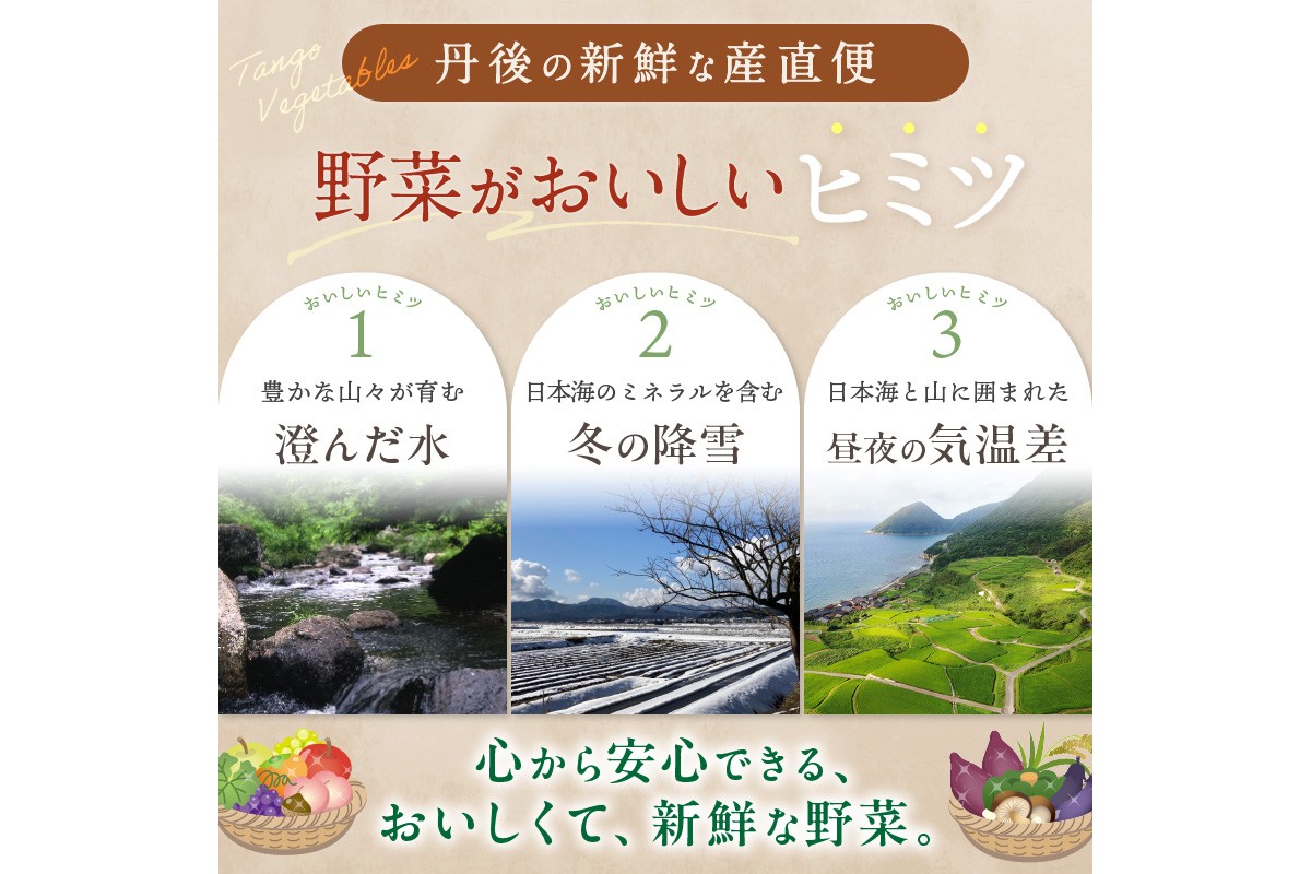 直売所直送 【訳あり】「京都・京丹後産 季節の野菜」お任せ詰め合わせBOX（3品）＋コシヒカリ精米1kg 定期便3回　JA00076