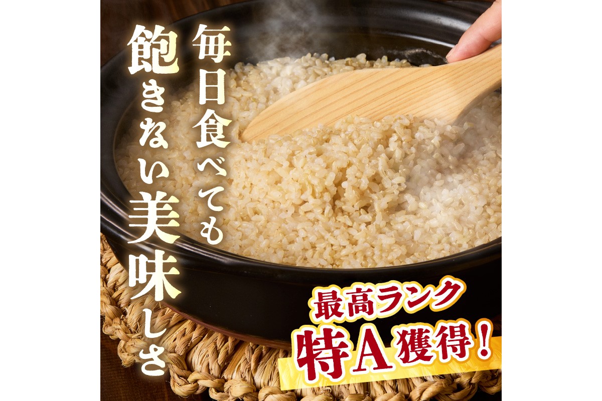 3月発送：直売所直送「令和7年産　京丹後市産　コシヒカリ」　玄米5kg ふるさと納税 米 玄米 特A 検査1等米 国産 こめ ごはん 京都産 コシヒカリ 農家応援 生産者応援 送料無料　JA00081S_03