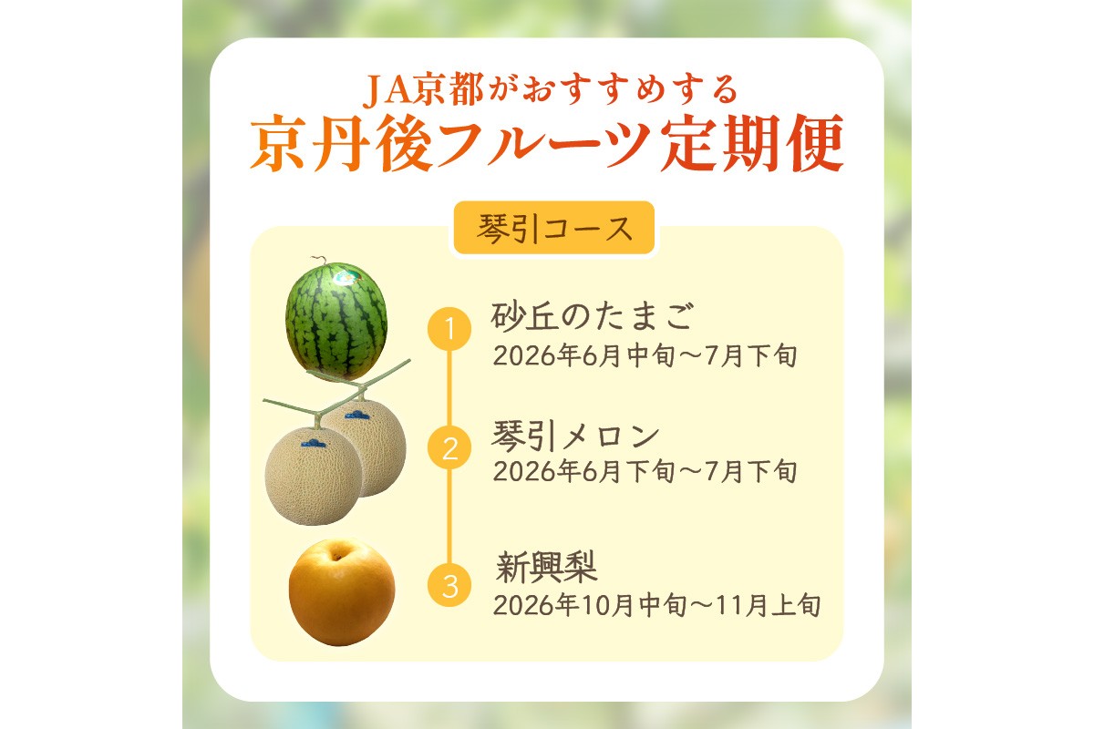 JA京都がおすすめする京丹後フルーツ定期便～琴引コース～（2026年6月中旬～発送）  京のブランド産品 メロン めろん 梨 なし ナシ スイカ 西瓜 すいか 国産 砂丘 甘い 高糖度 高級 期間限定 ふるさと納税 フルーツ 先行予約 お取り寄せ 農協　JK00040
