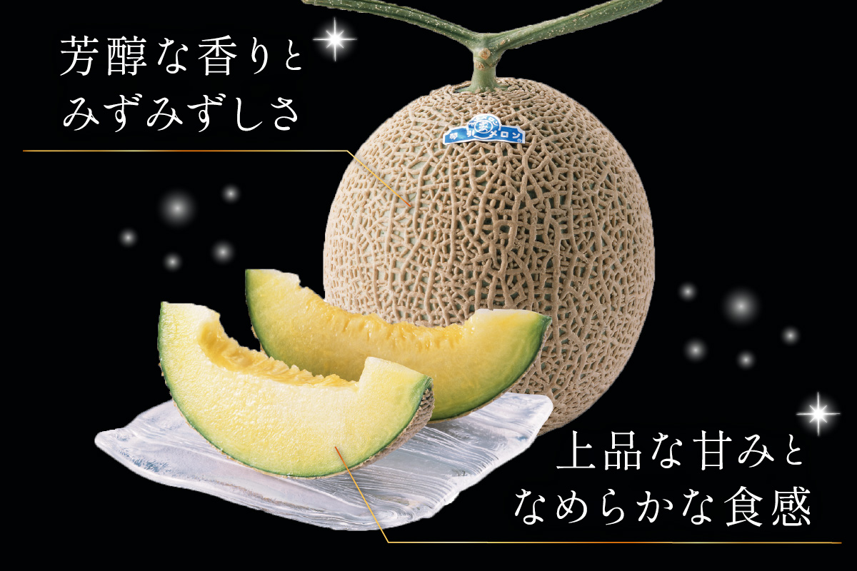 【先行予約／数量限定500】京のブランド産品 京たんごメロン 琴引メロン 3Lサイズ 2玉（2026年6月下旬～発送）　JK00026