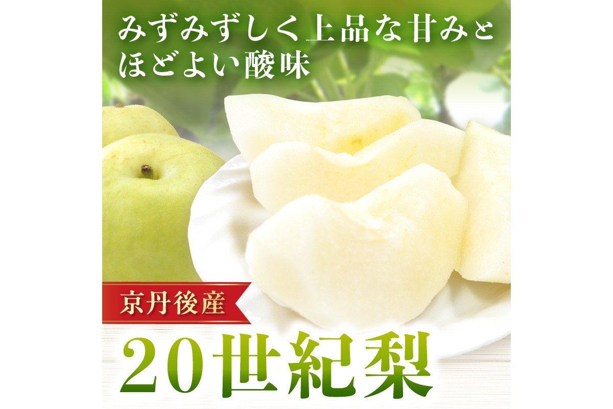 【先行予約／数量限定150】20世紀梨 5kg（2026年9月上旬～発送）　JK00038