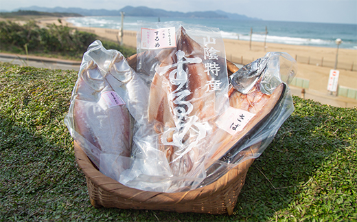 丹水こだわりおまかせ干物セット（さばと季節の干物2～3種）　KH00001