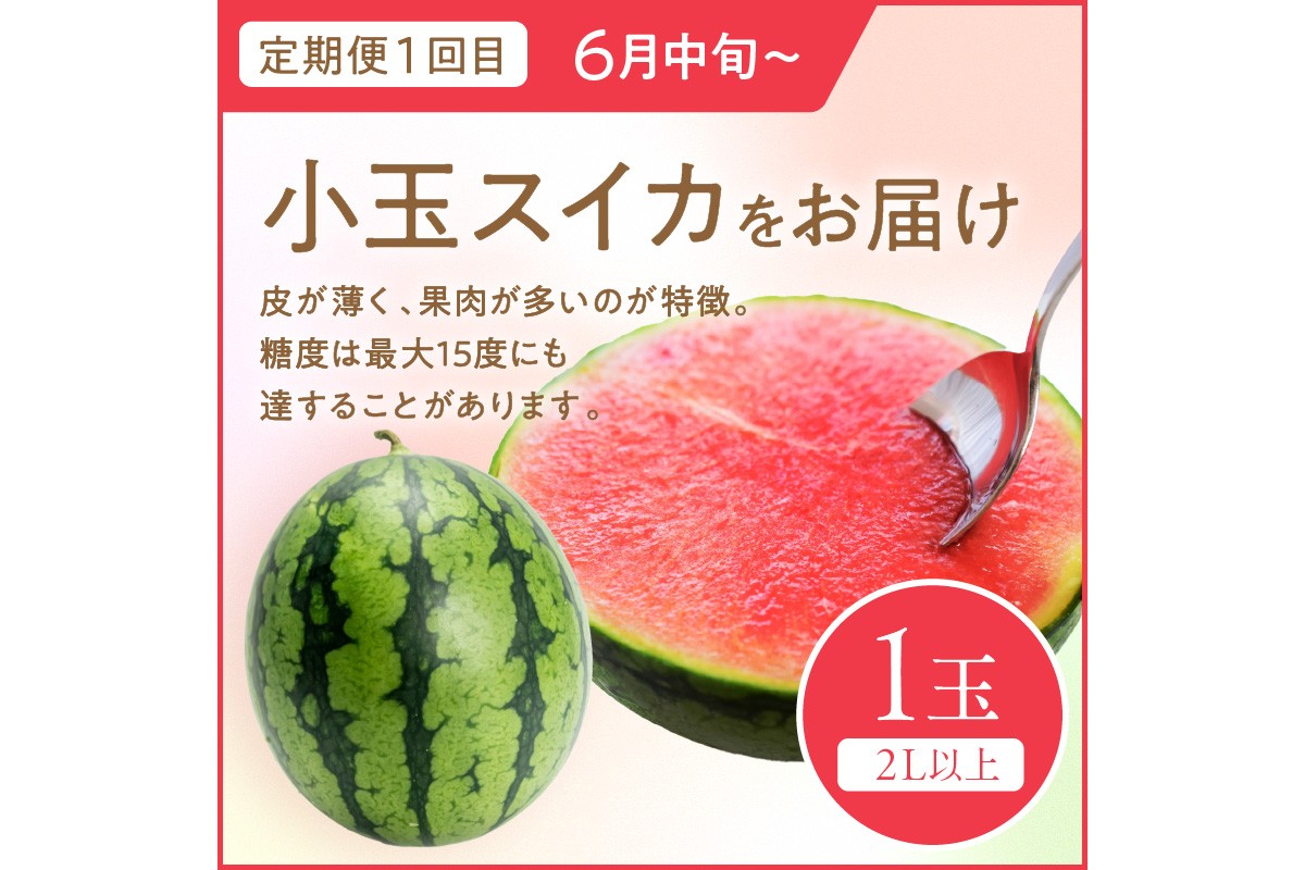 【先行予約】道の駅がおすすめする夏のフルーツ定期便～すいか・メロン～　KM00007