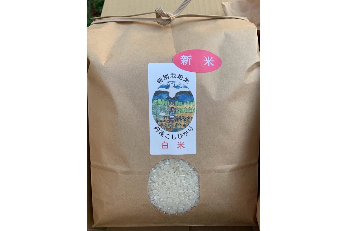 【予約受付】特別栽培米丹後こしひかり3kg＆新興梨5～6個（2026年10月上旬～発送）　KU00072