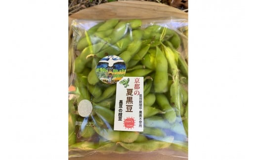 【先行予約／数量限定40】京都夏黒枝豆さや 1kg（250g×4パック）（2026年7月中旬～発送）　KU00071